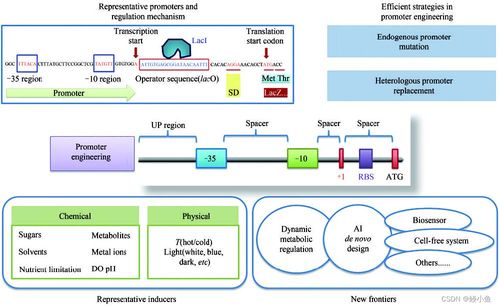 傳統(tǒng)行業(yè)與人工智能融合 材料、化學(xué)、物理、生物的發(fā)展與未來(lái)展望