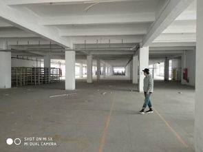 厚街精品花園獨院廠房出租 打造理想廣告設計創作空間